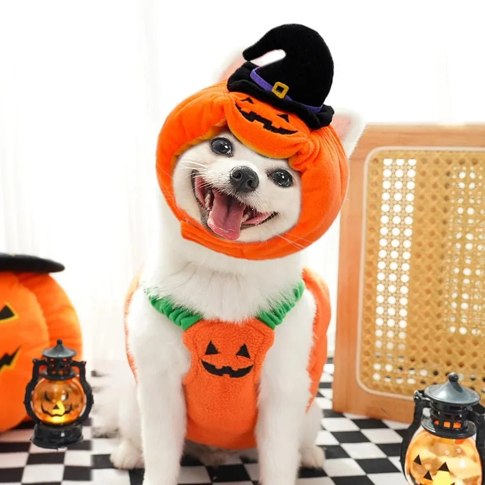 Halloween Pumpkin Cute costume